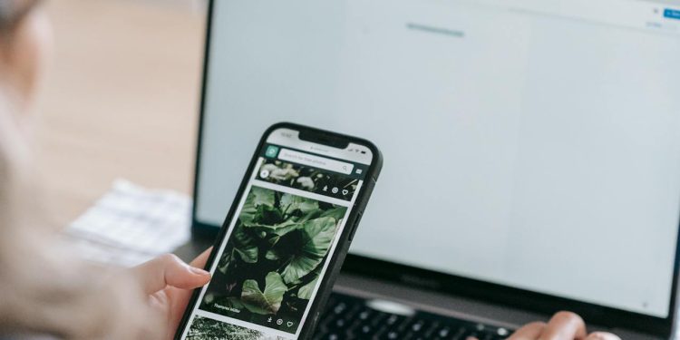 Najpopularnija Google Pretraživanja Vezana za Seks u Hrvatskoj